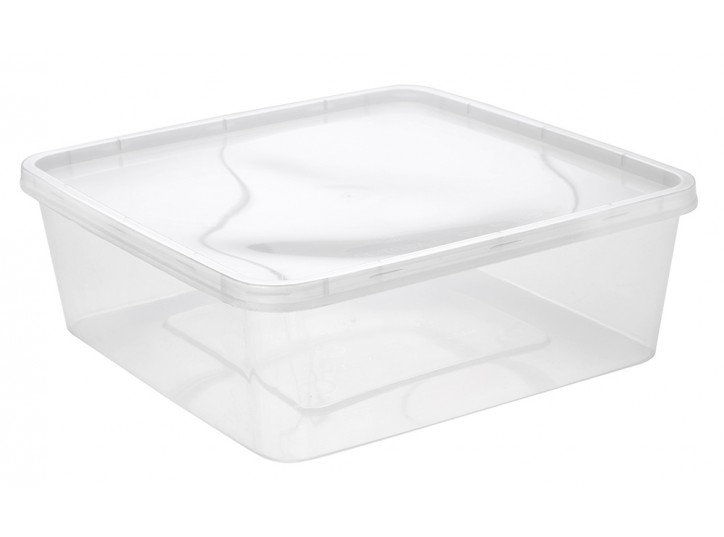 SQUARE PP CONTAINER & LID - MEDIUM