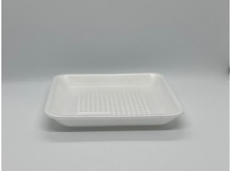 FOOD TRAY